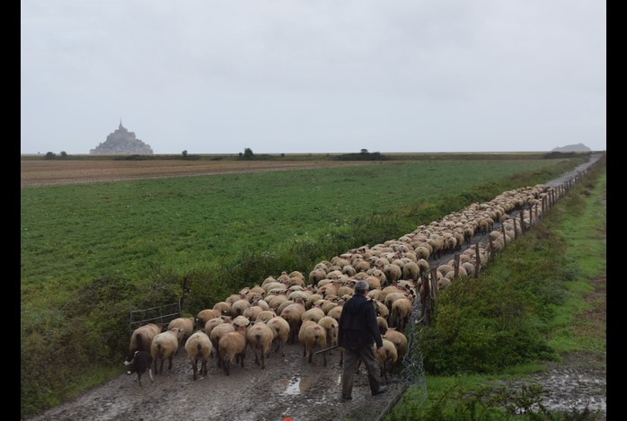 Is het nu Normandië of Bretagne