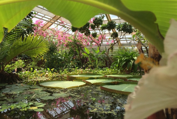 Bloemenpracht Keukenhof