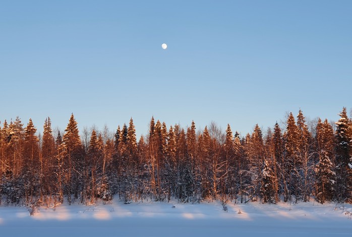 Winterreis Lapland