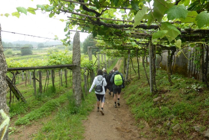 Wandelreis Santiago de Compostela