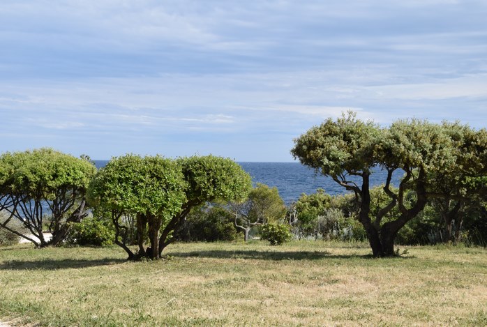 Côte d'Azur