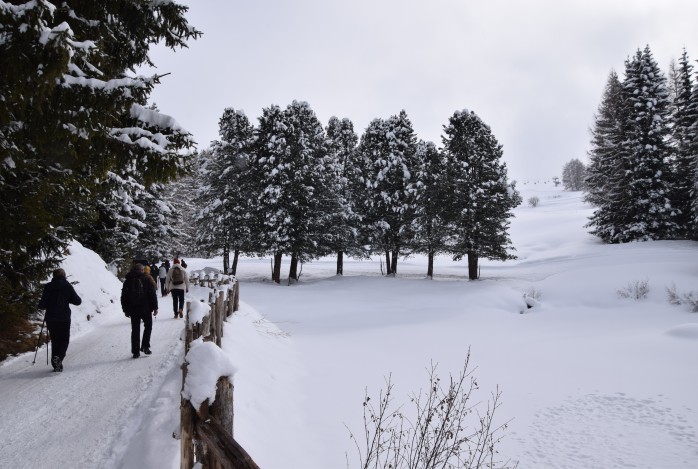 Winterwandelreis Südtirol