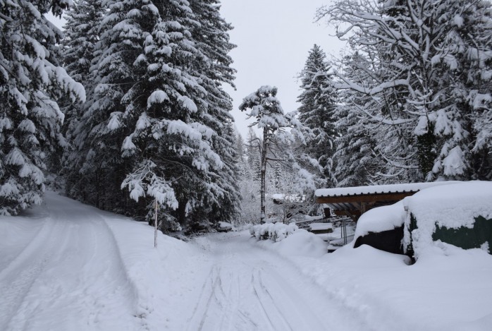 Winterwandelreis Lechtal