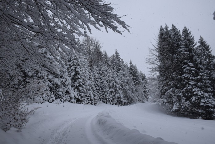 Winterwandelreis Lechtal