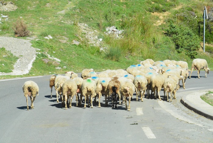 Andorra - Lourdes - Rocamadour