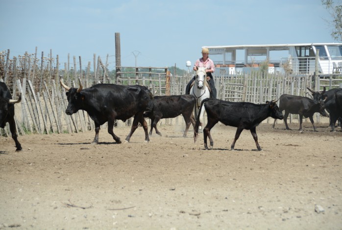 Agro Provence