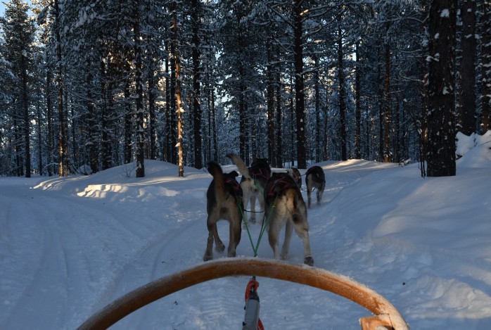 Winterreis Lapland