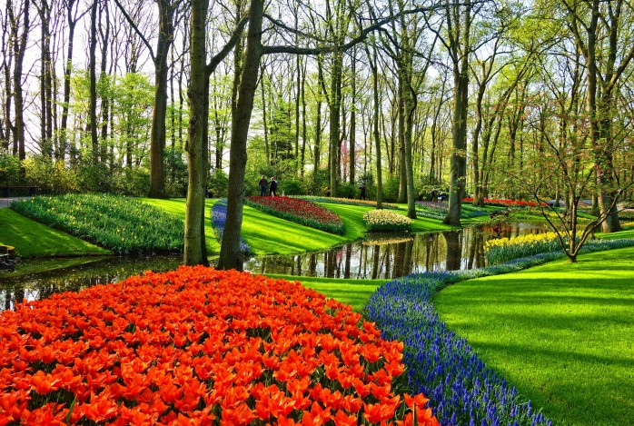 Bloemenpracht Keukenhof