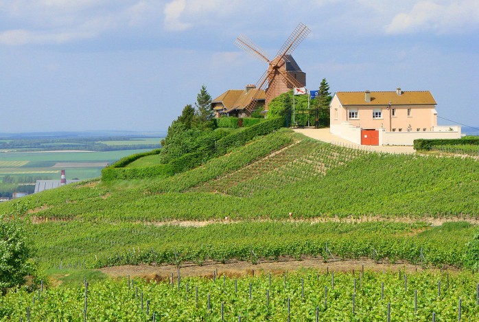 De champagnestreek in al zijn glorie