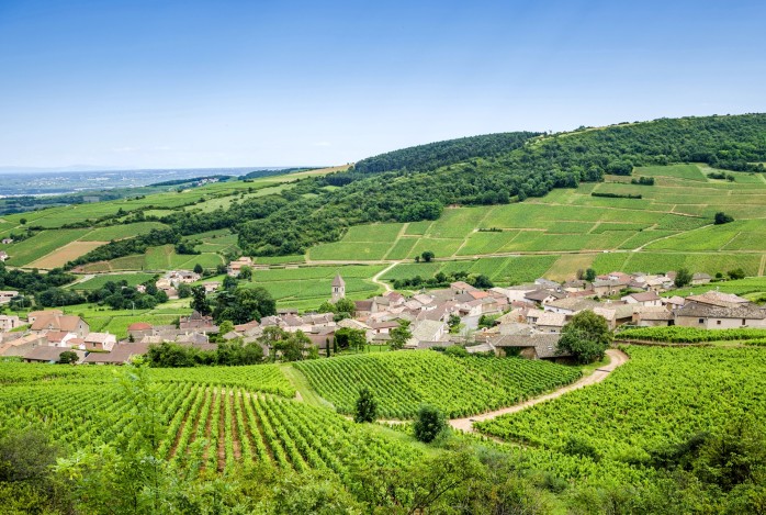 Fietsen langs de mooiste plekken van de Loire