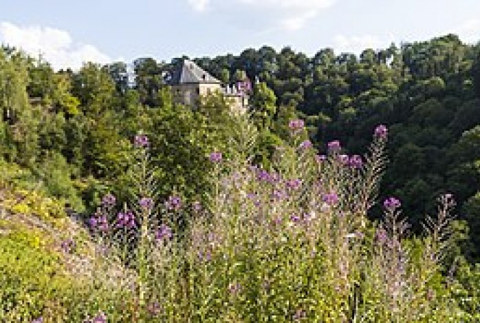 Gastronomisch Bütgenbach