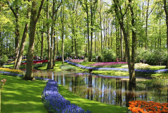 Bloemenpracht Keukenhof